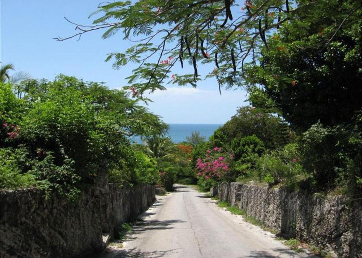 Buttonwood Reserve By Eleuthera Vacation Rentals Governor's Harbour Kültér fotó